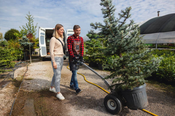 How Our Tree Care Process Works  in  Cloverleaf, TX